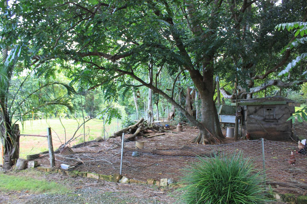Alstonville Country Cottages Exterior photo